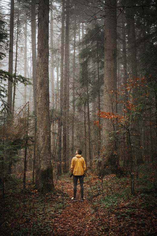 adidas terrex planinarenje fruska gora miroc rtanj