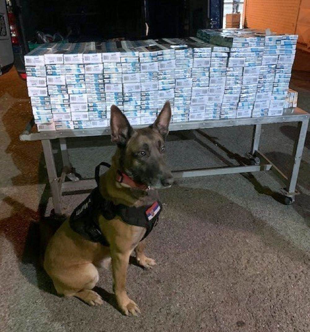 carinski pas neron kelebija zaplena