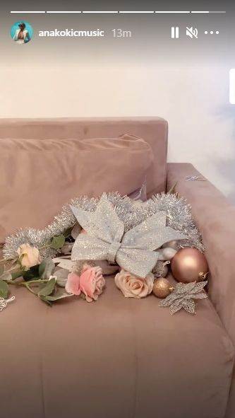 ana kokic jelka kicenje haos u kuci 