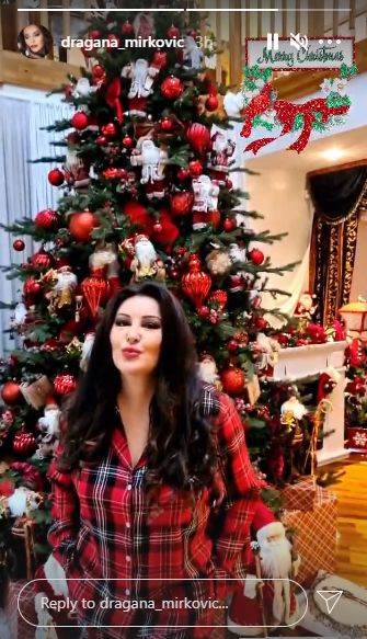 dragana mirkovic okicen dvorac jelka do plafona 