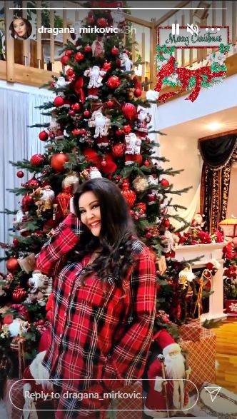 dragana mirkovic okicen dvorac jelka do plafona 