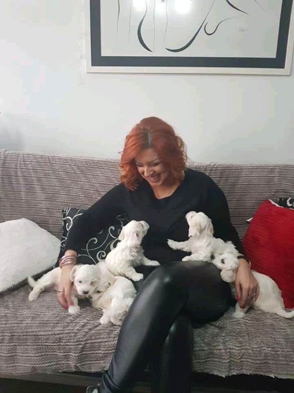 kucni ljubimci petarde docek pomoc saveti