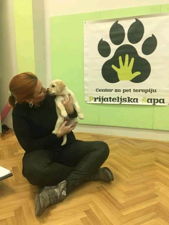 kucni ljubimci petarde docek pomoc saveti