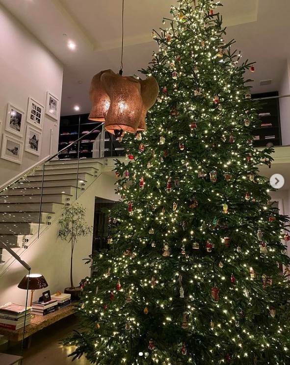 kajli dzenr avion instagram foto