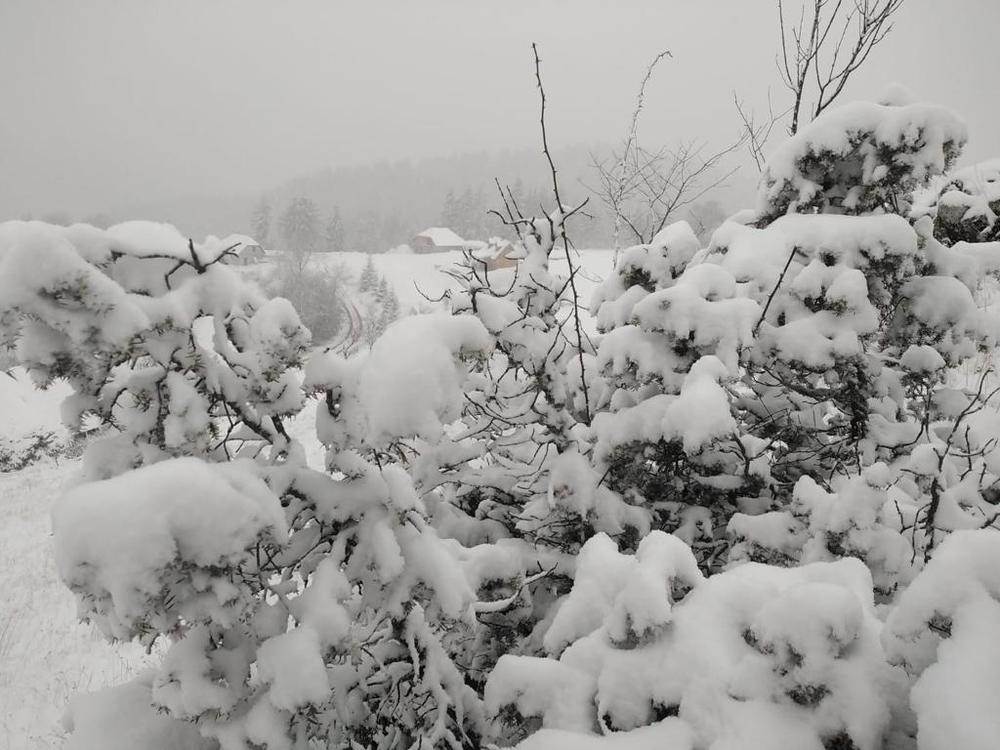 vremenska prognoza srbija beograd sneg kosava