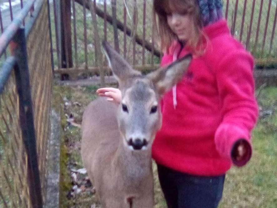 marija krivaja srna i lane kod prijedora selo busnova