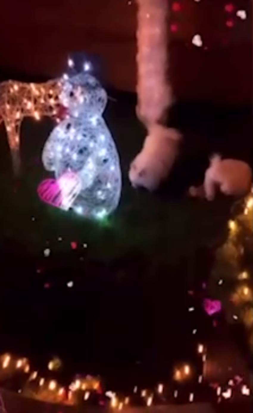 Koju školu je završio Željko Mitrović?