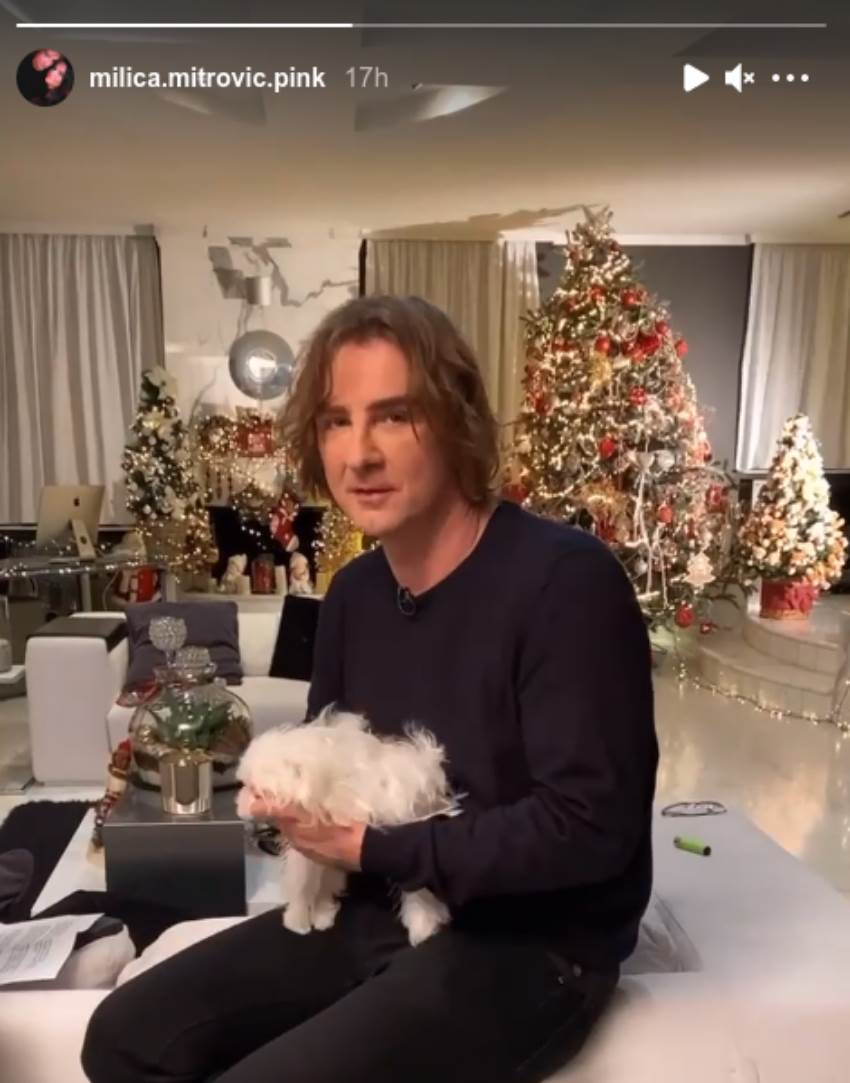 Koju školu je završio Željko Mitrović?