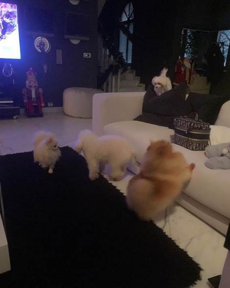 Koju školu je završio Željko Mitrović?