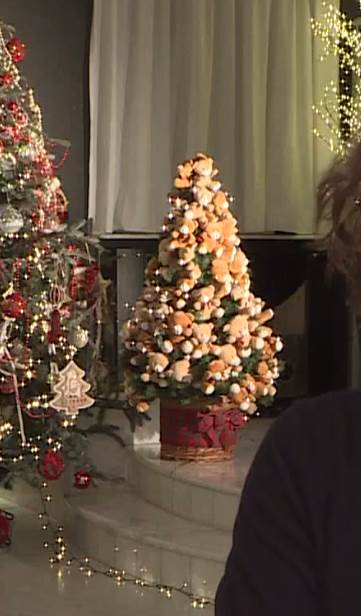 Koju školu je završio Željko Mitrović?