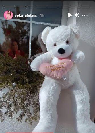 seka aleksic kao tinejdzerka slika iz mladosti