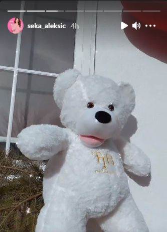 seka aleksic kao tinejdzerka slika iz mladosti