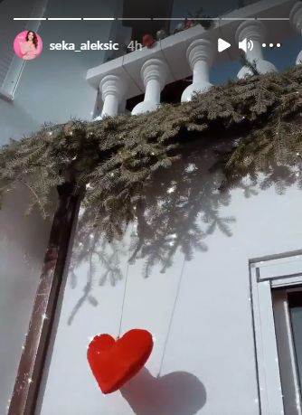 seka aleksic kao tinejdzerka slika iz mladosti