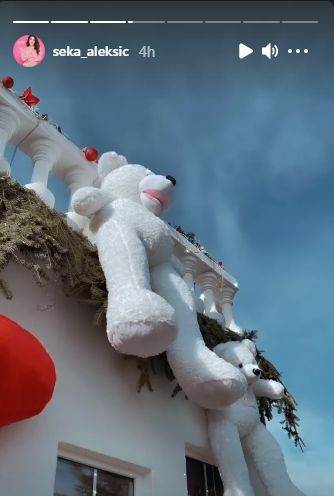 seka aleksic kao tinejdzerka slika iz mladosti