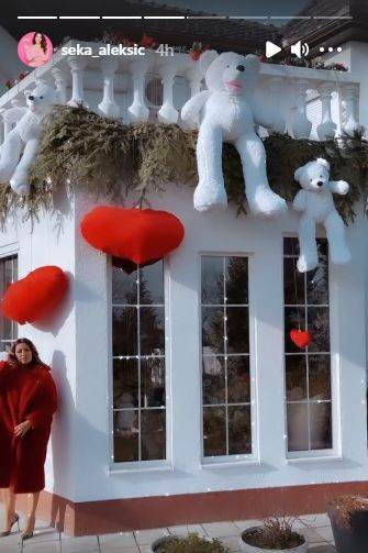 seka aleksic kao tinejdzerka slika iz mladosti