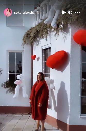 seka aleksic kao tinejdzerka slika iz mladosti