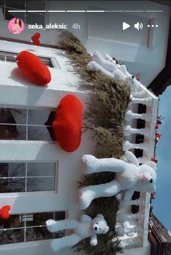 seka aleksic kao tinejdzerka slika iz mladosti