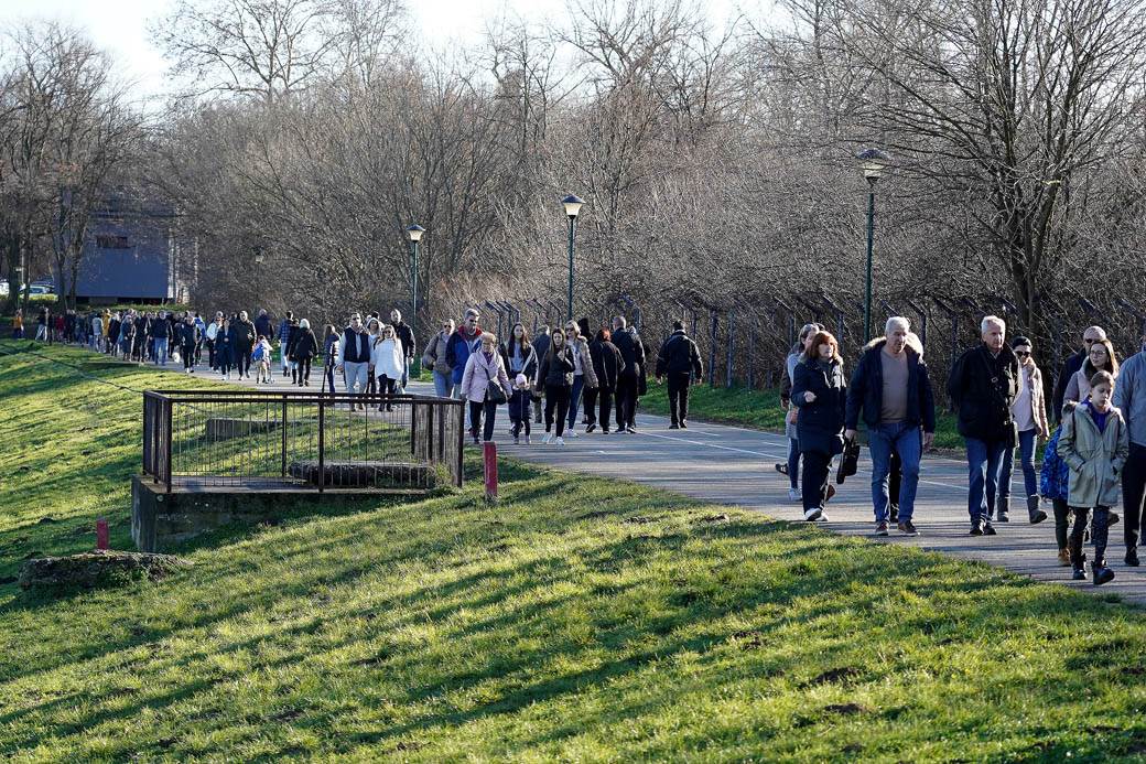 predrag kon korona virus rts intervju