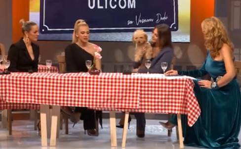 milica todorovic pas uneredio se balkanskom ulicom foto