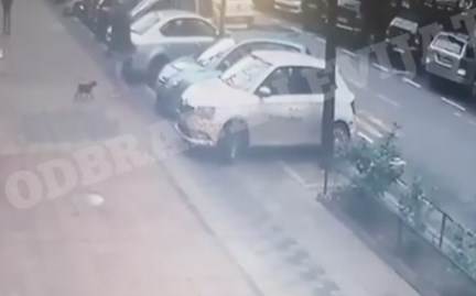 beograd slavija muskarac sutnuo psa stene nasao dom napad video snimak