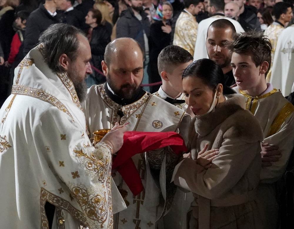 ceca raznatovic unuk zeljko bozic slike 