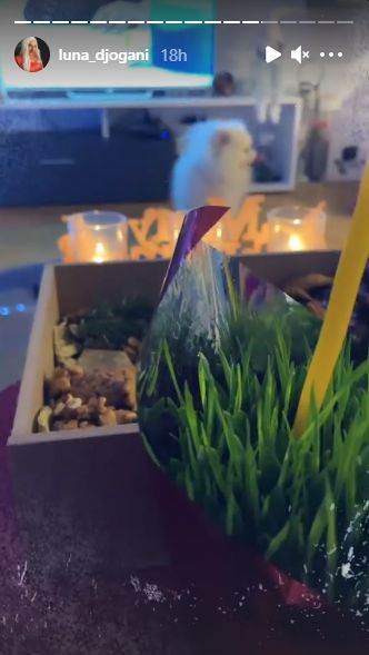 luna djogani marko miljkovic bozic trudna zelja