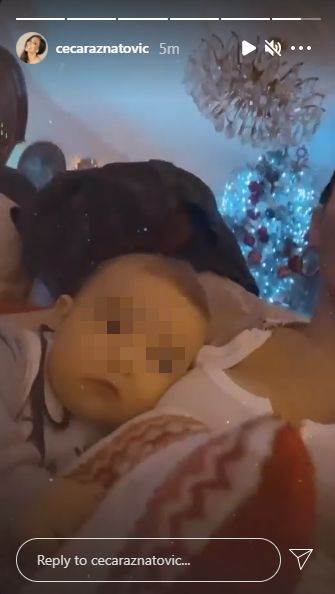 ceca raznatovic unuk zeljko bozic slike 