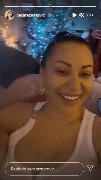 ceca raznatovic unuk zeljko bozic slike 