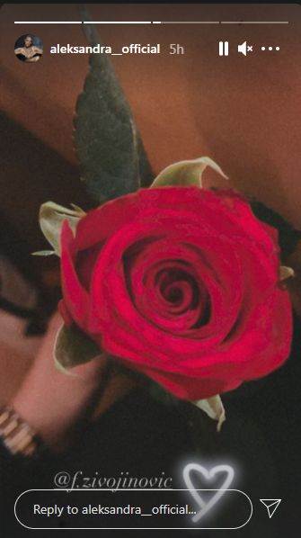 aleksandra prijovic filip zivojinovic zlatibor odmor sin aleksandar