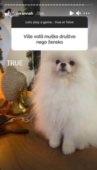 zorana jovanovic zorannah blogerka udaja ludi kamen pitanja fanova