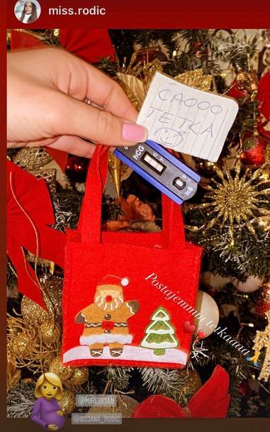 mirko sijan bojana rodic trudna