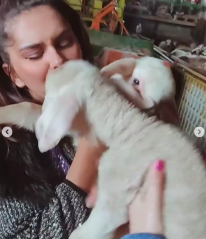 Milica Tomašević u bikiniju