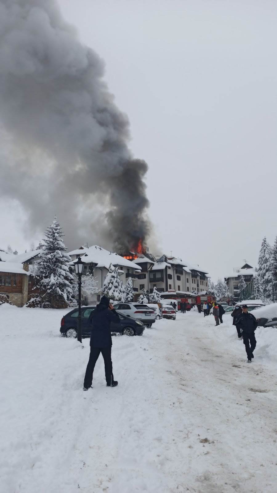 pozar na zlatiboru vatrogasci