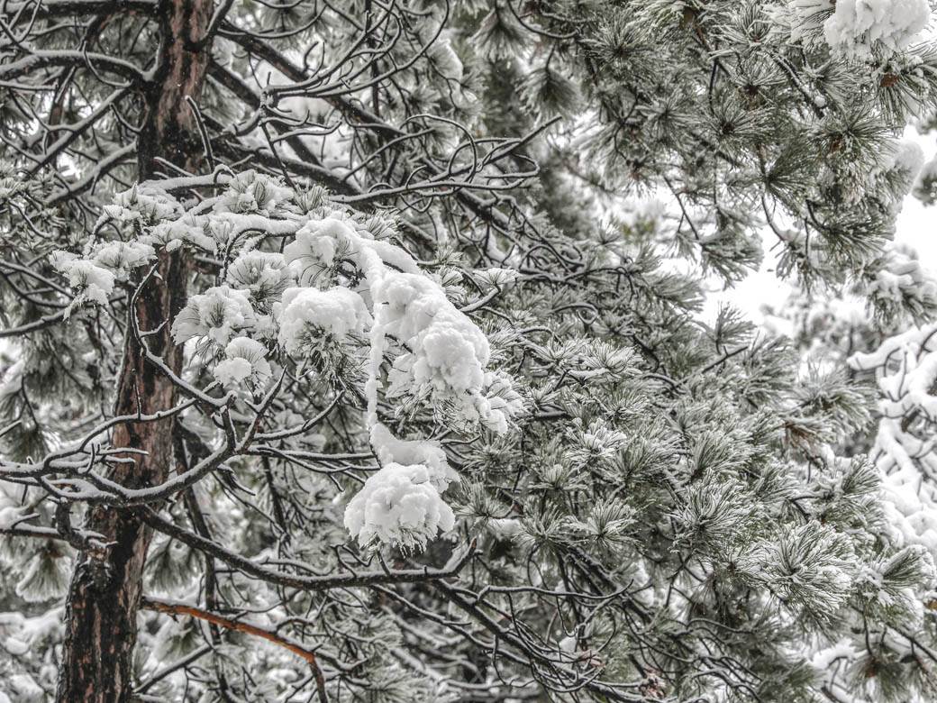 prognoza za januar februar i prolece da li ce biti snega