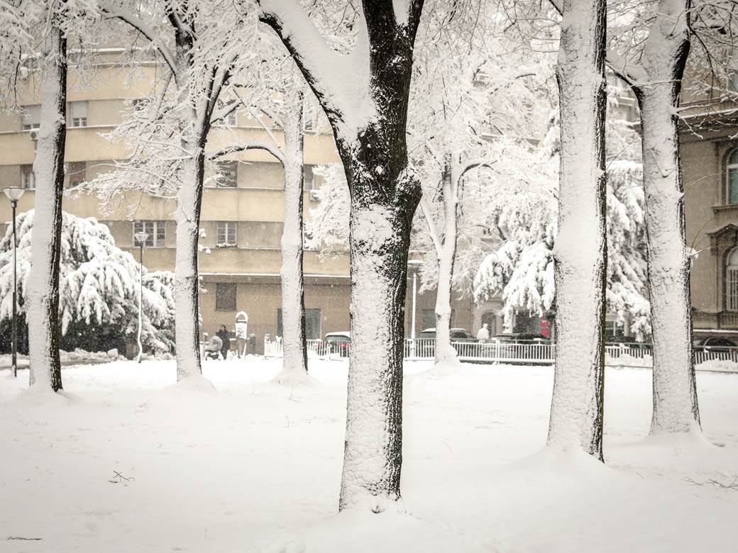 prognoza za januar februar i prolece da li ce biti snega