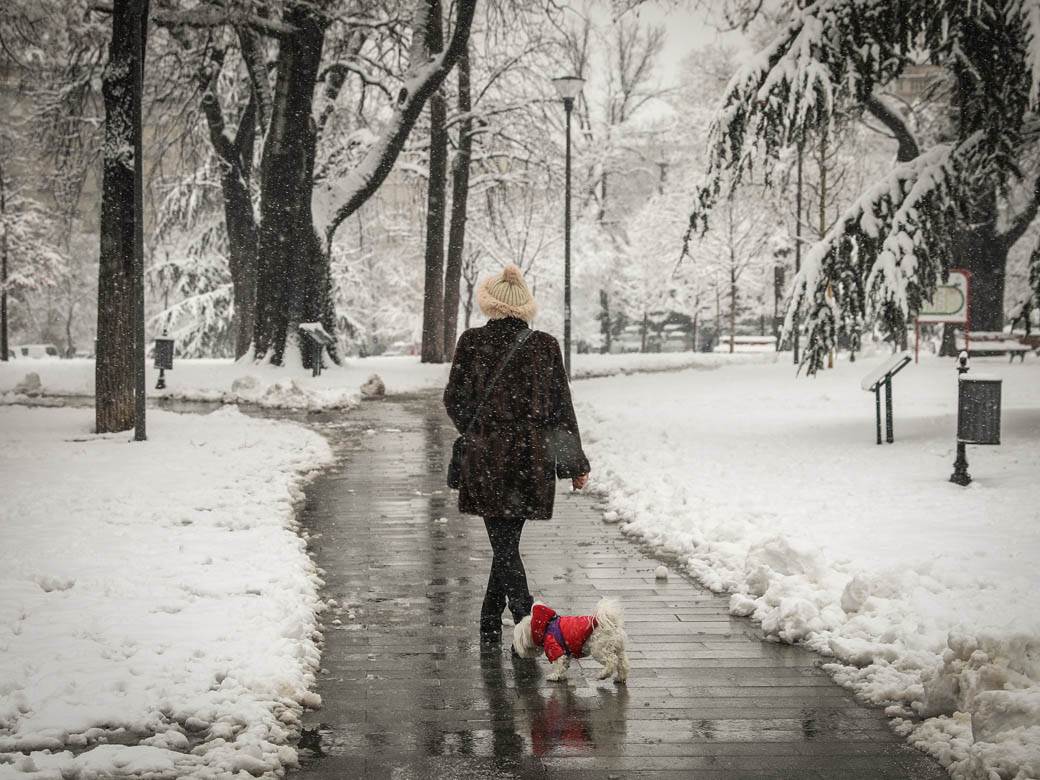prognoza za januar februar i prolece da li ce biti snega