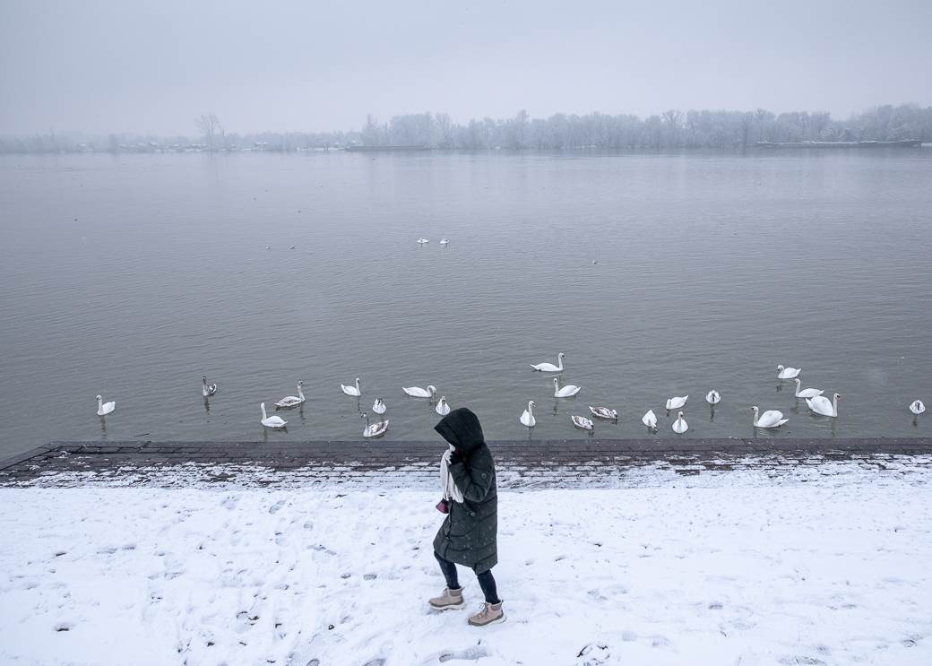 srbija vremenska prognoza januar zima hladni talas vorteks ledeni dani prognoza