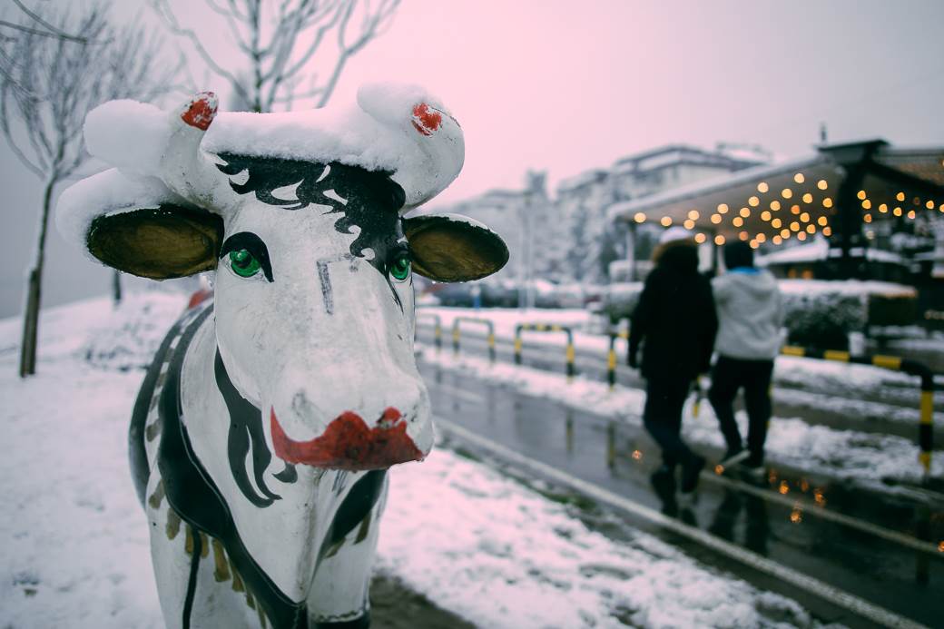 srbija vremenska prognoza januar zima hladni talas vorteks ledeni dani prognoza