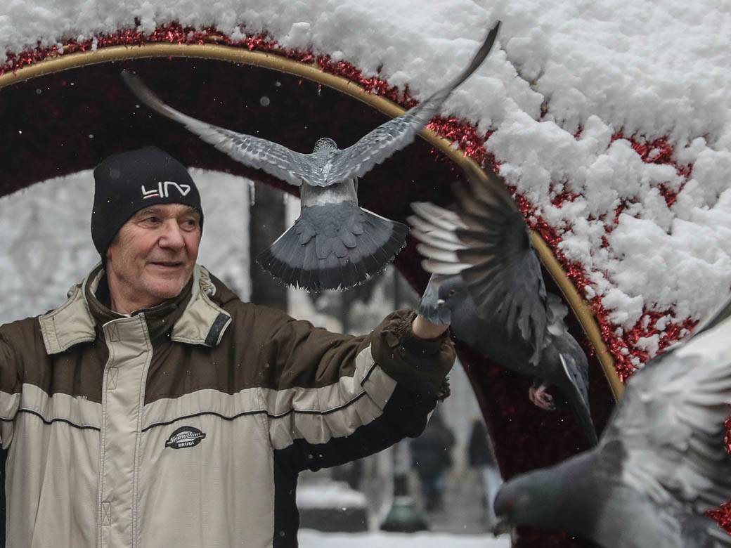 covek hrani golubove u beogradu sneg zima ulica ljudi fotografije