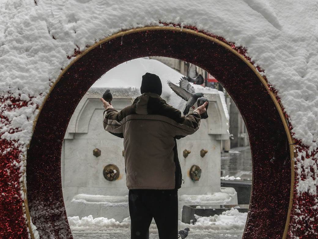 covek hrani golubove u beogradu sneg zima ulica ljudi fotografije