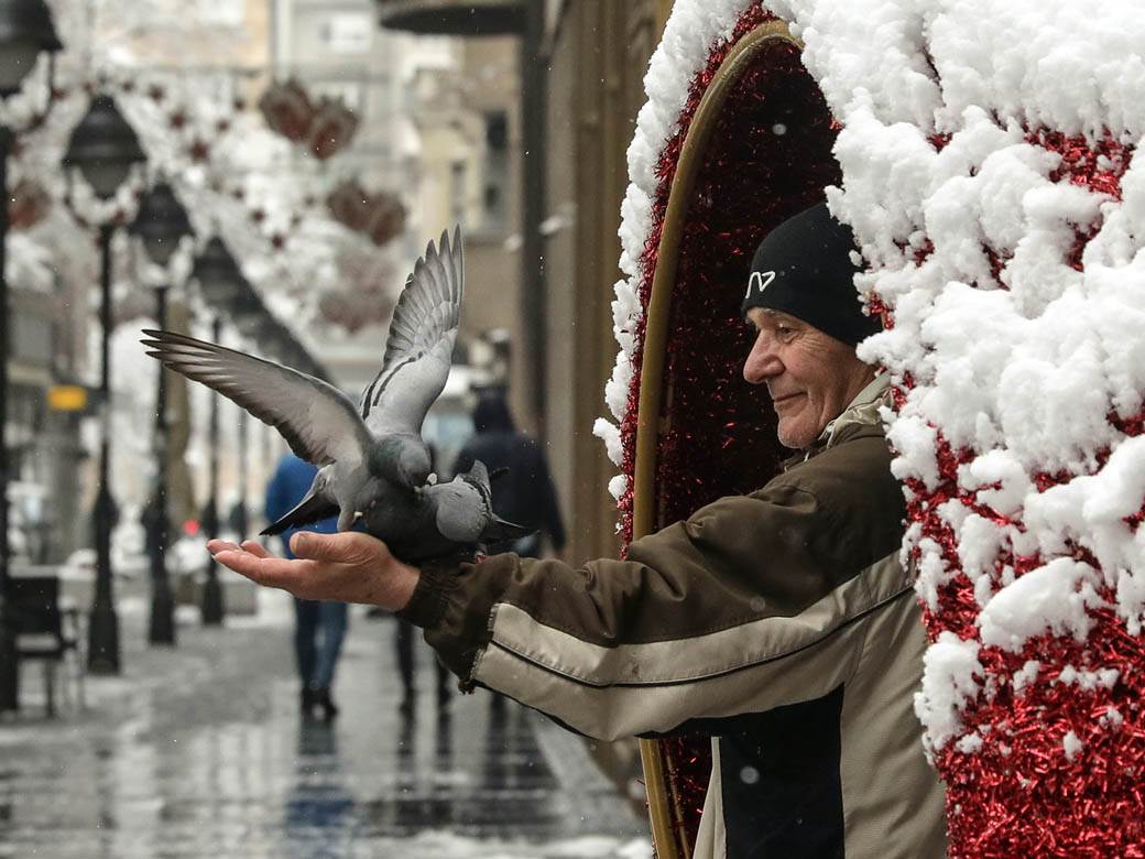 covek hrani golubove u beogradu sneg zima ulica ljudi fotografije