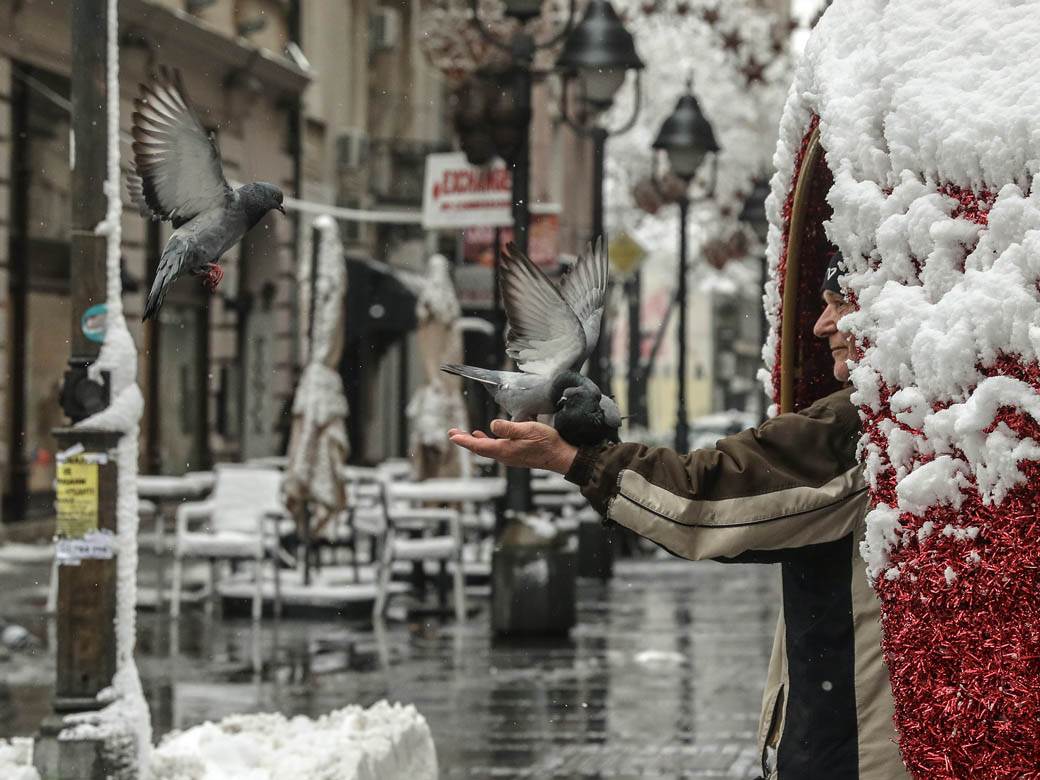 covek hrani golubove u beogradu sneg zima ulica ljudi fotografije