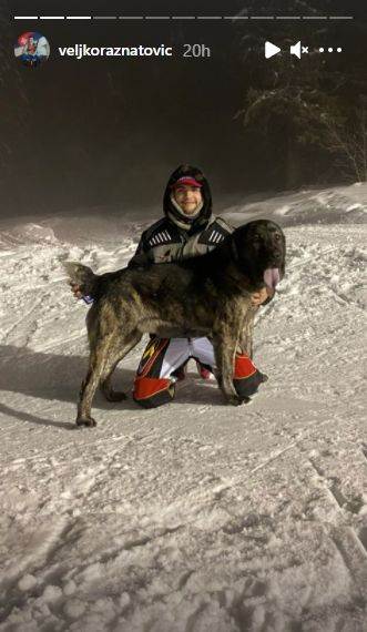 veljko raznatovic bogdana sin zeljko zimovanje