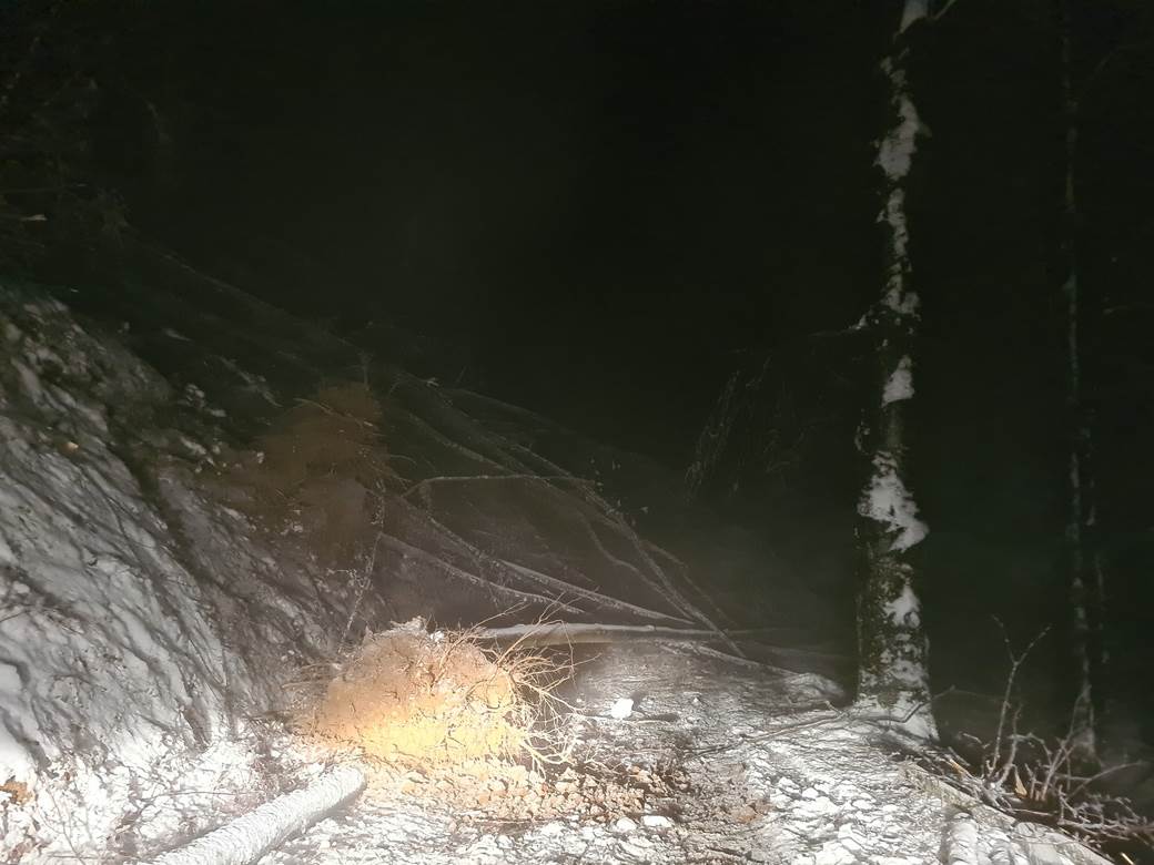 selo bara bez struje padaju stabla pomoc leskovac video 