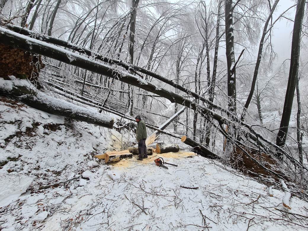 selo bara bez struje padaju stabla pomoc leskovac video 