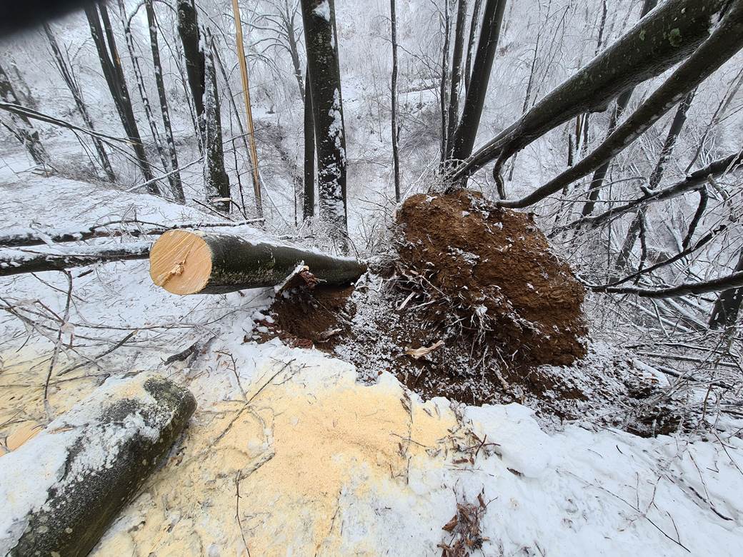 selo bara bez struje padaju stabla pomoc leskovac video 