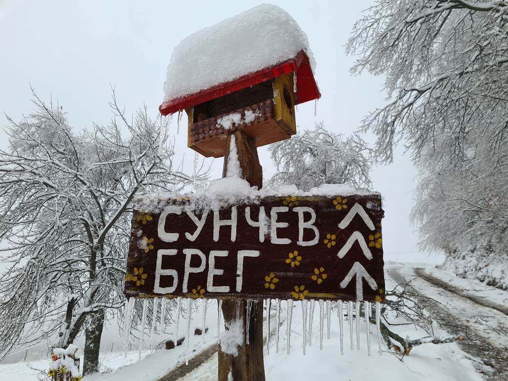 selo bara bez struje padaju stabla pomoc leskovac video 