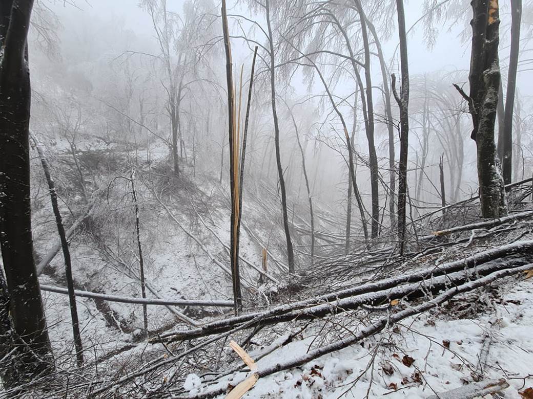 selo bara bez struje padaju stabla pomoc leskovac video 