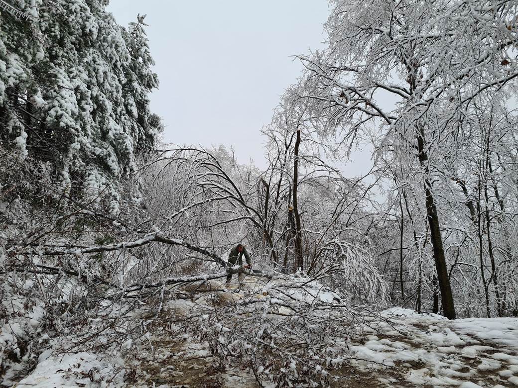 selo bara bez struje padaju stabla pomoc leskovac video 