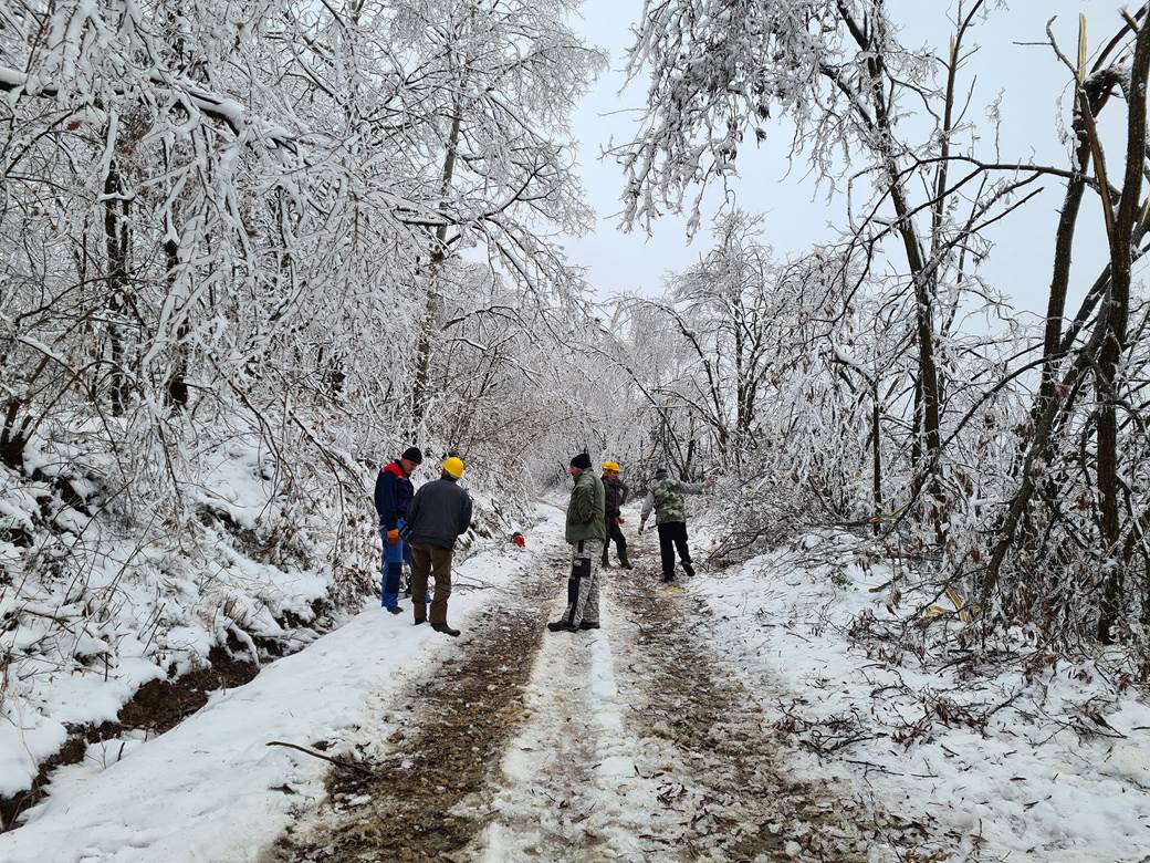 selo bara bez struje padaju stabla pomoc leskovac video 